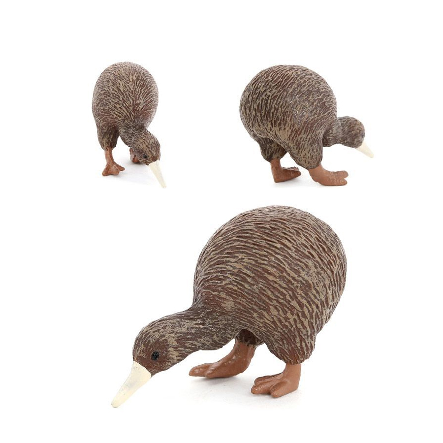 Realistische Kiwi-Vogel-Tiermo – Kids Toys New Zealand Bewertung und Preis