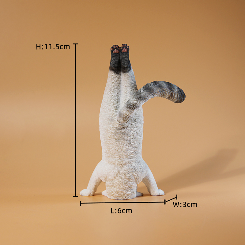 Mini-Simulations-Fitness-Katze – Kids Yoga Toys Bewertung und Preis