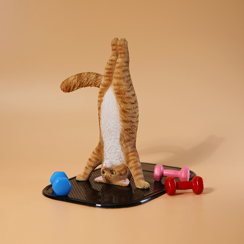 Mini-Simulations-Fitness-Katze – Kids Yoga Toys Bewertung und Preis