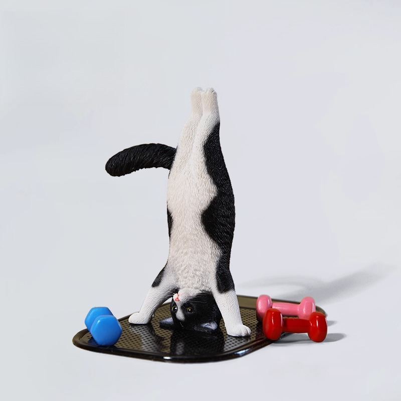 Mini-Simulations-Fitness-Katze – Kids Yoga Toys Bewertung und Preis